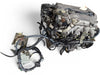 Nissan Primera Sentra G20 2.0L 4Cyl Engine JDM SR20DE SR20 220834B Free Shipping