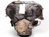 95-04 T100 Tacoma 4Runner Tundra 3.4L 6CYL Engine JDM 5VZ 0902119 Ships Free