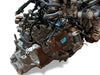Honda Stream 2001-2006 1.7L 4CYL Manual 5SPD Transmission SSWM *Ships Free*