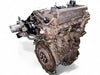 00-05 Toyota Echo 04-06 Scion xA xB 1.5L 4CYL Engine JDM 1NZ B409098 Ships Free