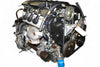 Honda Odyssey 1999-2001 3.5L SOHC V6 VTEC Engine JDM J35A *Free Shipping*