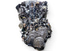 Honda Accord 2000 2001 2002 3.0L V6 Engine JDM J30A 1652