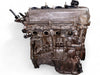 00-05 Toyota Echo 04-06 Scion xA xB 1.5L 4CYL Engine JDM 1NZ B409098 Ships Free
