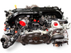 Subaru Forester 2006 2007 2008 2.5L 4CYL Turbo AVCS Engine Motor JDM EJ255 0281L