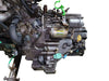 Honda CRV 1999 2000 2001 2.0L FWD 2WD Automatic Transmission JDM B20B B20Z 2036