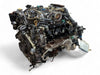 2001-2004 Nissan Cima 4.5L V8 RWD Engine JDM VK45DD 009475 Ships Free