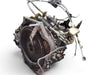 Toyota Celica GTS 2000-2005 1.8L 4CYL 6SPD LSD Manual Transmission JDM 2ZZ 2790